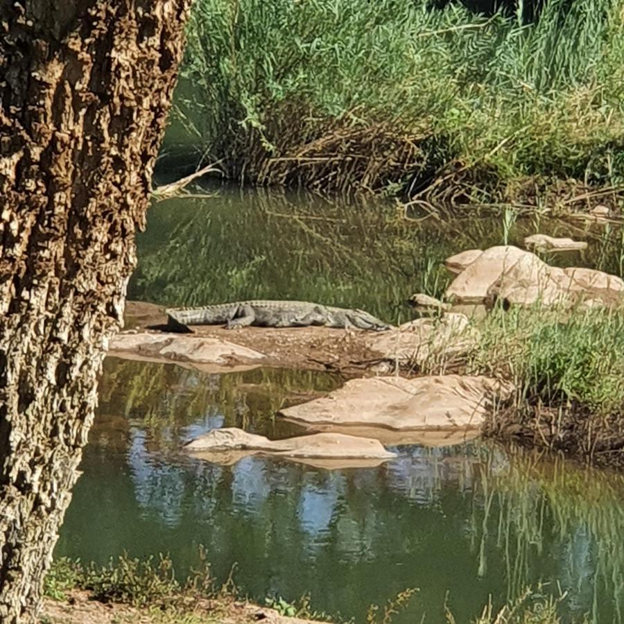 Ekuthuleni River Front Chalets Maruleng Bagian luar foto